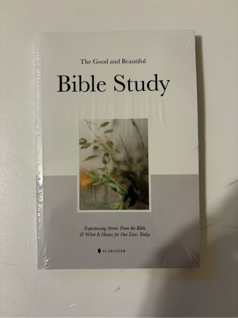 Bible Study — White and Gray Edition